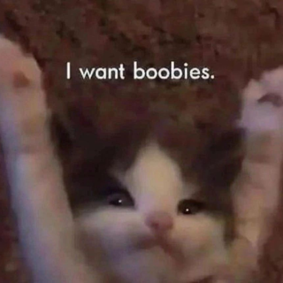 want boobies ◇ .gg/tainted