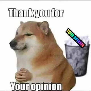 Opinion