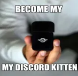 uwu e-kitten ◇ .gg/tainted