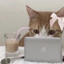 girlboss Discord sticker