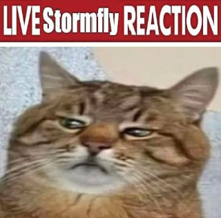 Live_stormfly_reaction Discord sticker
