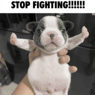 Stop fighting!!!! 😖