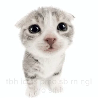 im tbh icl ts pmo sb rn ngl sm