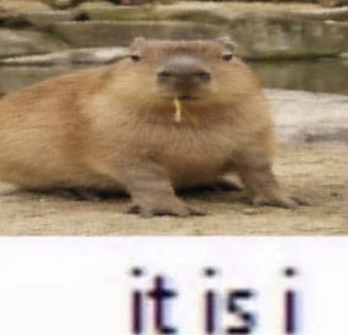 it is i | dtiribbons