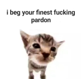 confusedca | gg/pakistan