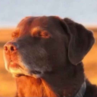 breathe bro breathe..