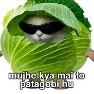 Patha gobi  Discord sticker