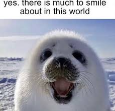 seal hopecore Discord sticker