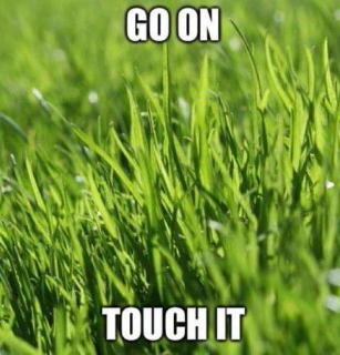 touch grass