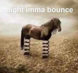 bounce horse