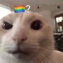 lo suponía Discord sticker