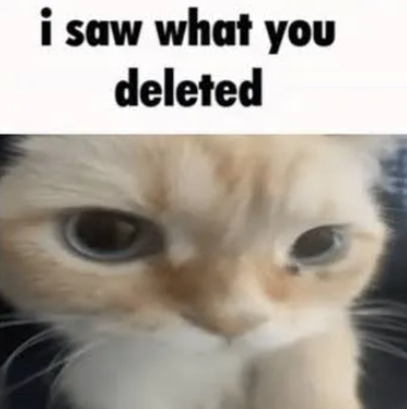 saw what you deleted Discord sticker