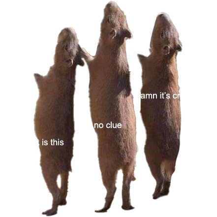 capywhat | dtiribbons