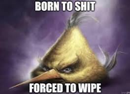 Koro This Was A Bad Idea