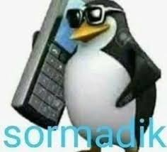 sormadik Discord sticker
