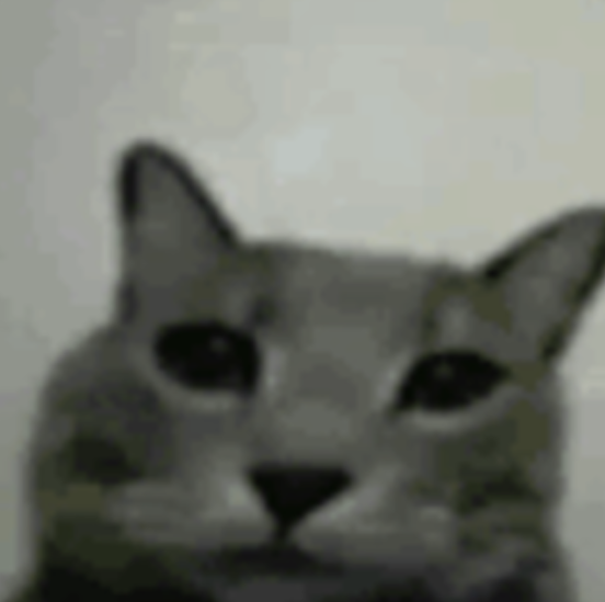 Sad Cat Discord sticker