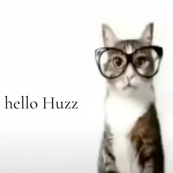 HelloHuzz