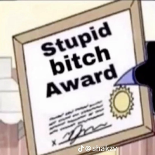 Stupid bitch award