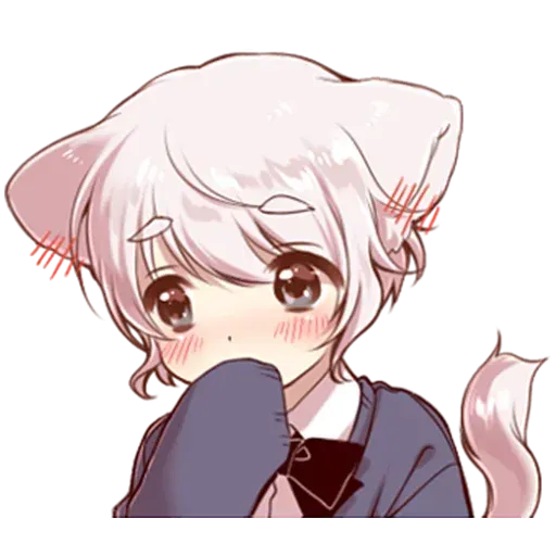 catblush Discord sticker