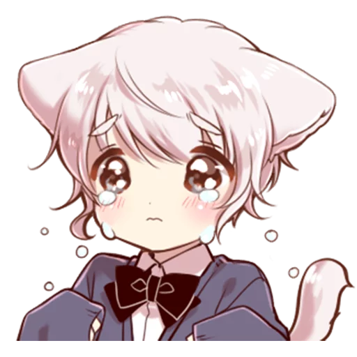 catsad Discord sticker