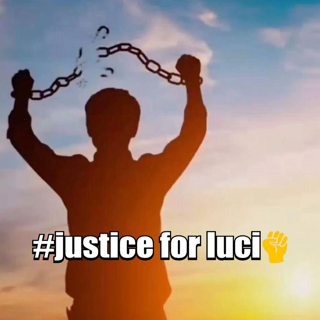 #justice4Luci