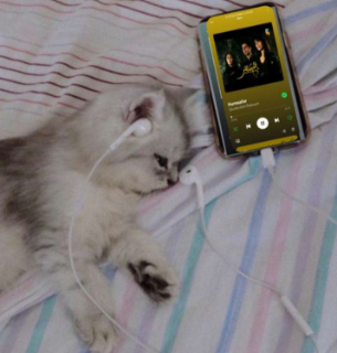 emoera | gg/pakistan