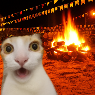 Gato assustado kkkkkk Discord sticker