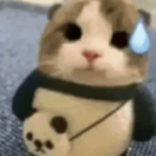 SweatCat | .gg/ap Discord sticker