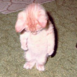 Aww man... (/eclipsess)