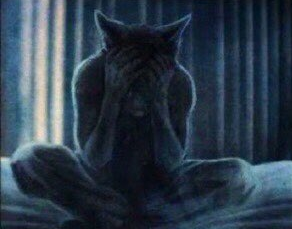 what have i done... /lushed