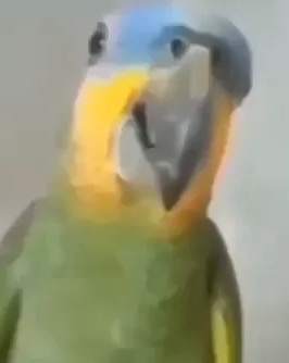 atualizaçao da lista