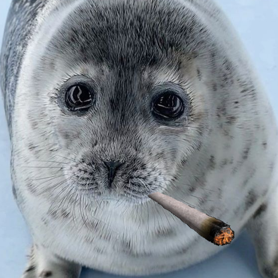 silly silly seal that is peak Discord sticker