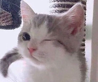 Подмигнул Discord sticker