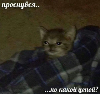 Проснулся... Discord sticker