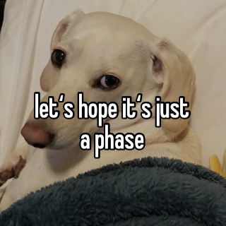 Lets Hope its a Phase Discord sticker