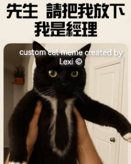 manager cat nf2u /hopeful