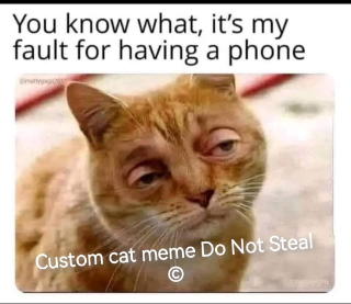 cat tired meme nf2u /hopeful