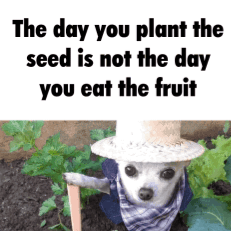 plant the seed Discord sticker