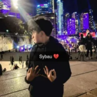 SYBAU Discord sticker