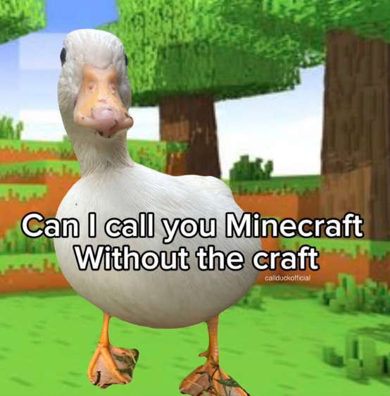 duck Discord sticker