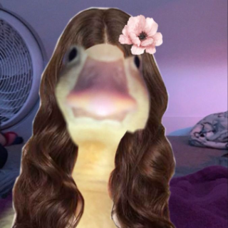 duck Discord sticker