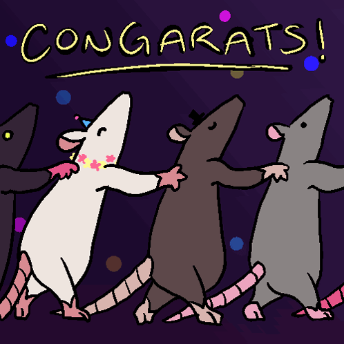 Conga rats Discord sticker