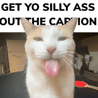 GET OUT THE CAPTION  Discord sticker