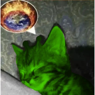  alien cat sleep