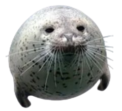 fat seal Discord sticker