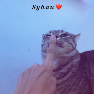 sybau /echat