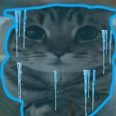 frozen cat