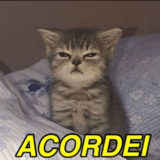 Acordei Discord sticker
