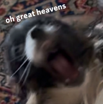 ohgreatheavens Discord sticker