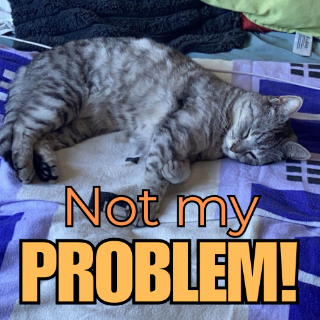 Not My Problem! /catnip